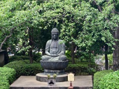 Buddha