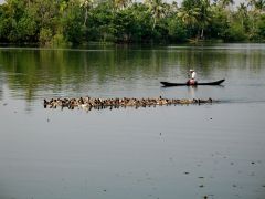 296_0161-Backwaters