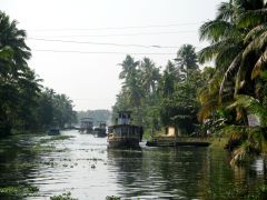 296_0176-Backwaters