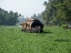 298_0051-Backwaters