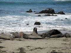 Piedras Blancas