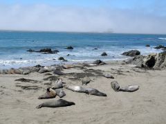 Piedras Blancas