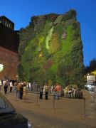 giardino verticale